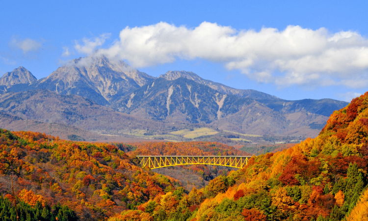 八ヶ岳高原大橋の紅葉 ほくとナビ