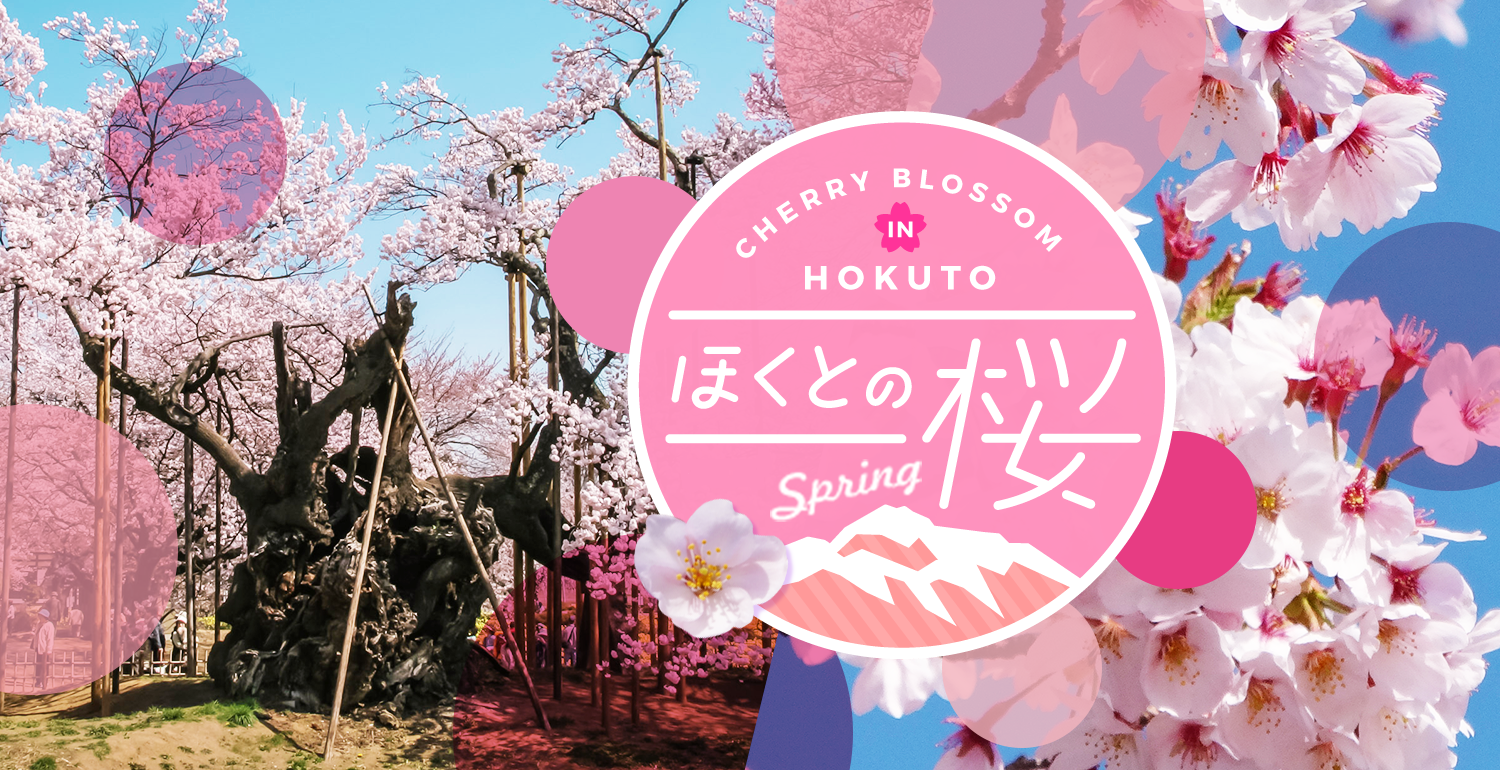 feature_banner_top_sakura2018