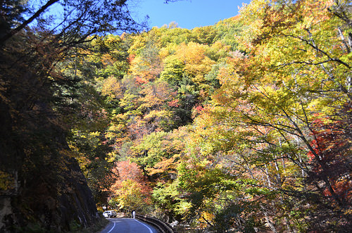 本谷川渓谷（ほんたにがわけいこく）