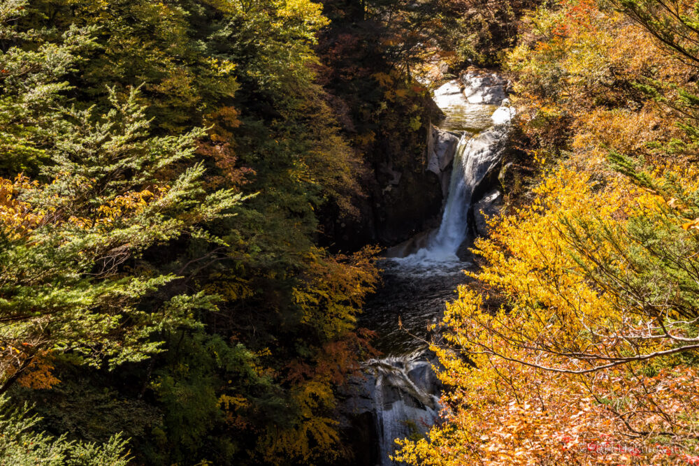 尾白川渓谷（おじらがわけいこく）