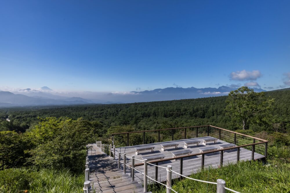 登山ガイド付きで安心！美し森初夏のトレッキングツアーー