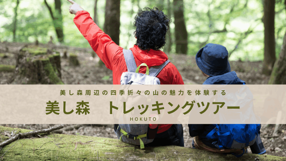 美し森の四季を楽しむ！美し森トレッキングツアー2025