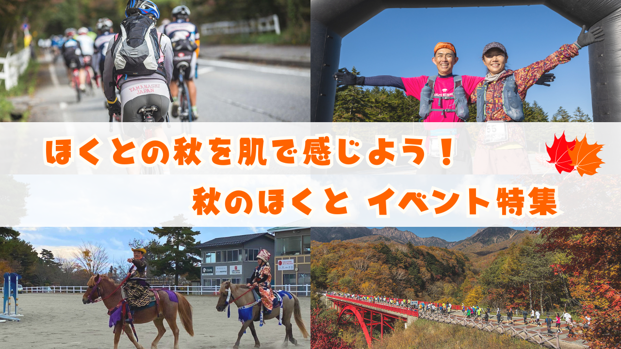 秋のイベントPickUp!