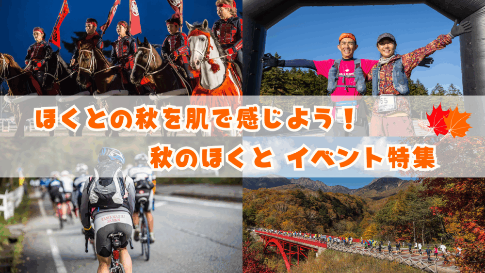 秋のイベントPickUp！