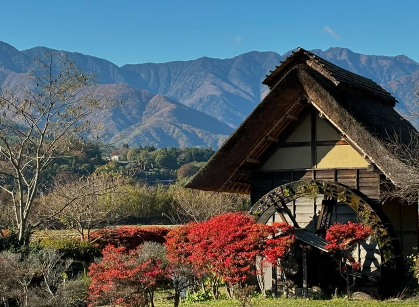 尾白川リゾートオートキャンプ場の場内の写真
