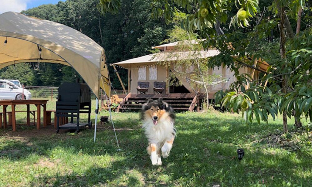 Camp inn 清里 グランデール