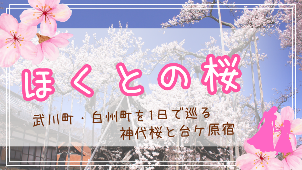 【北杜市の桜鑑賞】武川町・白州町を1日で巡る｜神代桜と台ケ原宿（3月下旬～4月上旬）