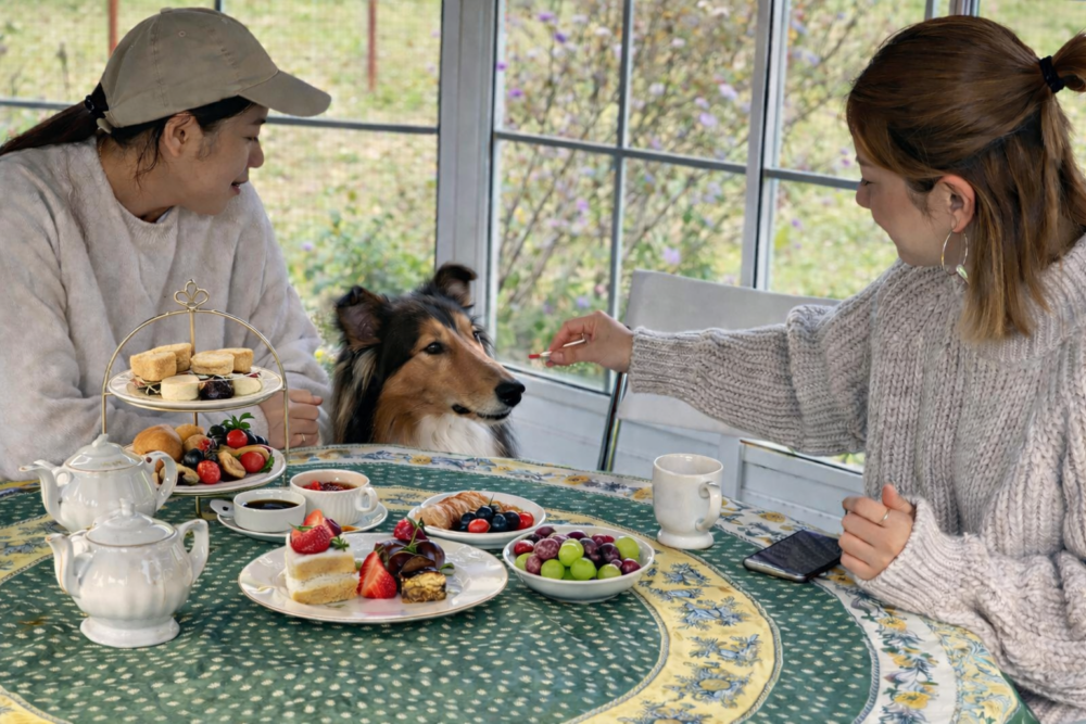 ～八ヶ岳のイングリッシュガーデンでアフタヌーンティー～