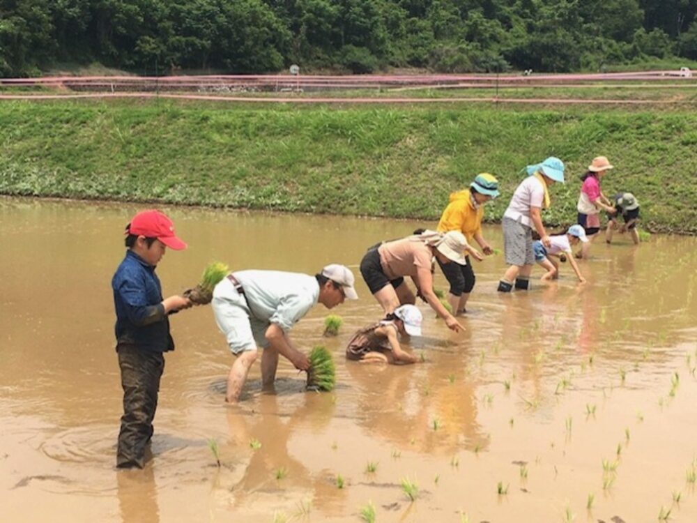 【一般社団法人星の時間】田んぼで遊ぶ、田んぼで植える