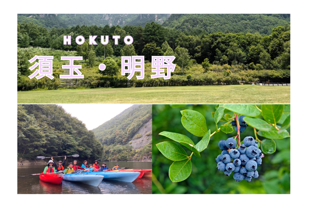 【北杜市観光】みずがき湖カヤック体験と明野ブルーベリー狩りの日帰りモデルコース（夏編）