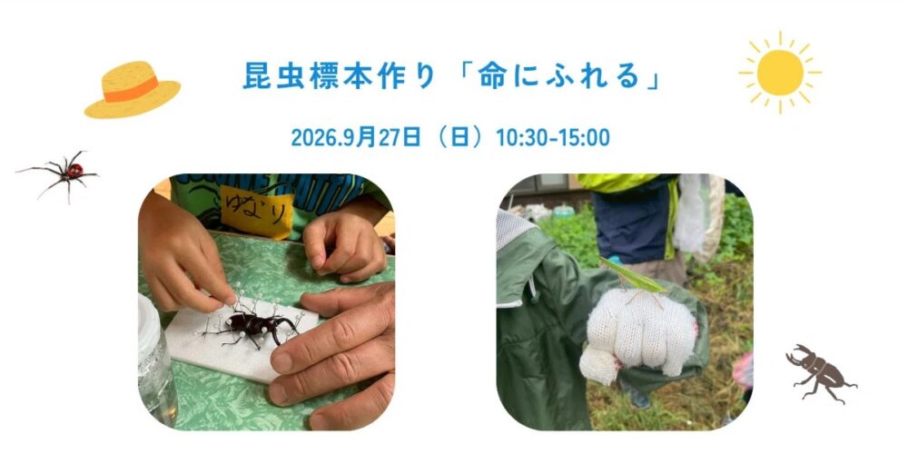 昆虫標本づくりで、命にふれる